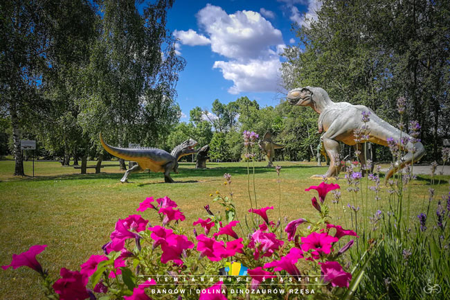 Polana dinozaurów Siemianowice Śląskie